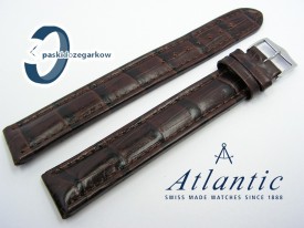 Pasek Atlantic 20 mm XXL brązowy sprzączka stalowa