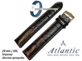 Atlantic 20mm XXL - Brązowy