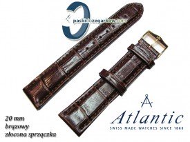 Pasek Atlantic 20mm - Brązowy - Sprzączka w kolorze złotym