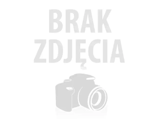 Pasek Casio G-Shock Mudmaster GG-B100 GG-B100-1A9 pomarańczowy oryginalny